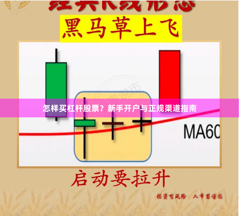 怎样买杠杆股票？新手开户与正规渠道指南